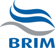 brim